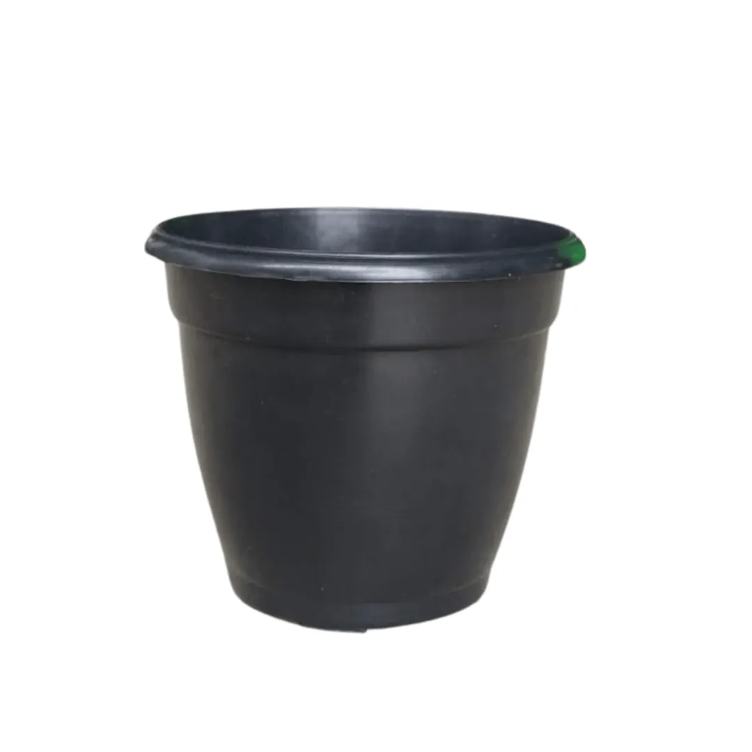 3 Inch Ruby Black Elora Premium Plastic Planter