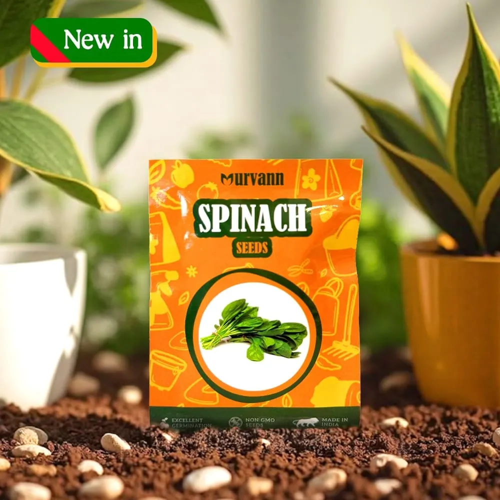 Spinach / Palak Seeds – GMO Free | Excellent Germination | Easy to Grow | Disease Resistance - for veggies