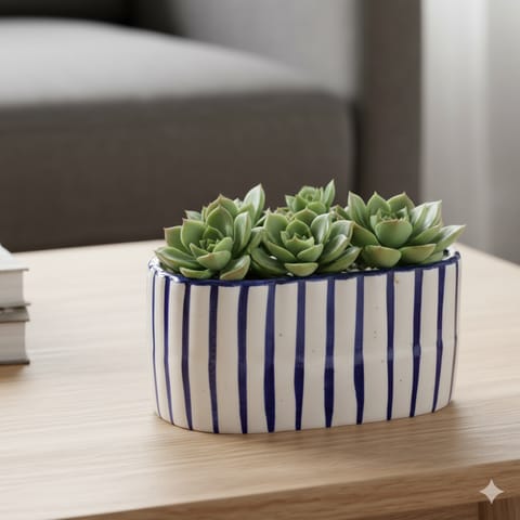 5 Inch White Handcrafted Blue Striped Ceramic Tray- Gloss Finish Indoor Plant Pot, Succulent Planter, Home Decor