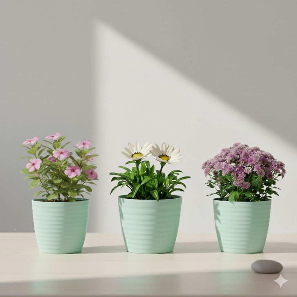 The Bloom Trio - Set of 3 - Gazania, Periwinkle / Sadabahar / Vinca, Chrysanthemum (any colour) in 5 Inch Pastel Green Avora Premium Plastic Planter