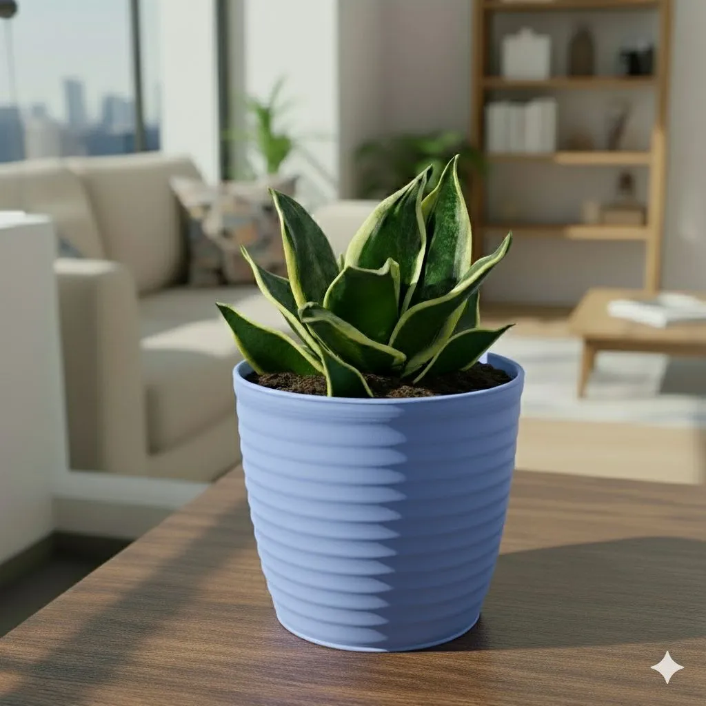 Snake Dwarf Yellow in 5 Inch Elvan Blue Avora Premium Plastic Planter