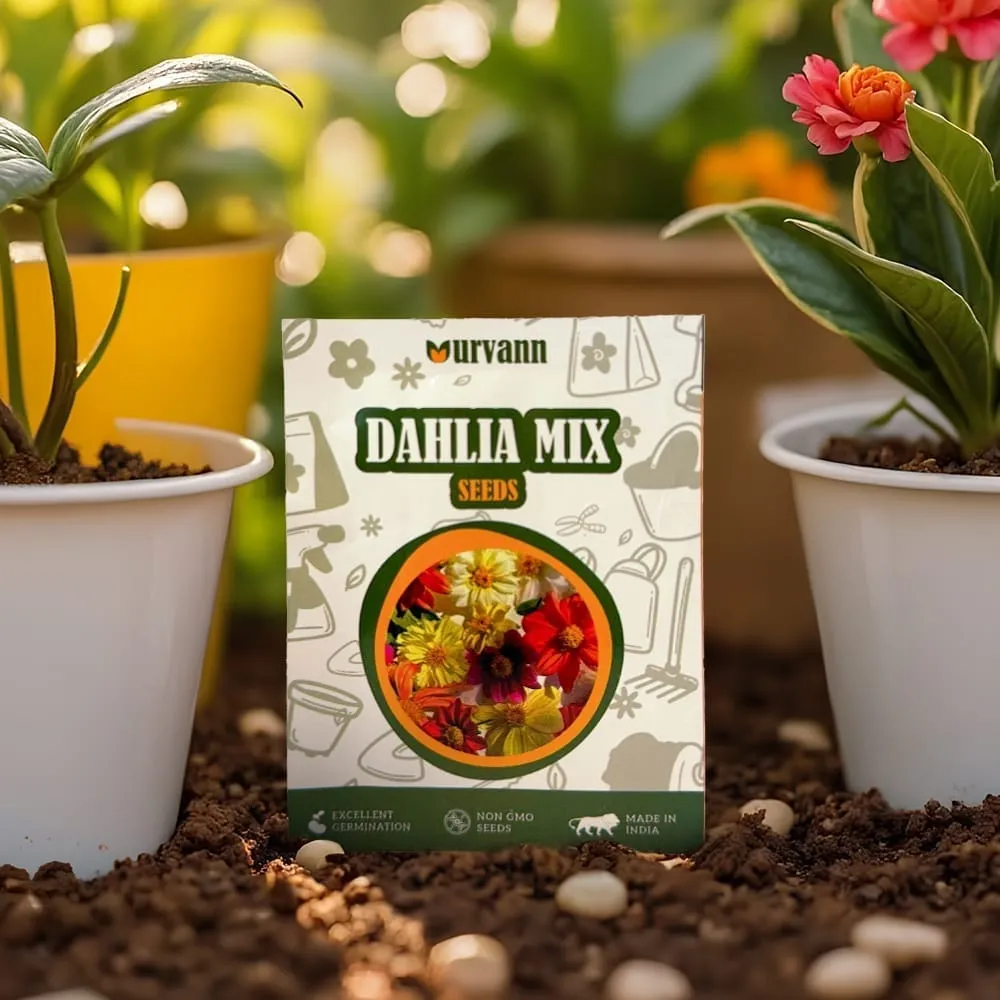 Dahlia Mixed Seeds – GMO Free | Excellent Germination | Easy to Grow | Vibrant Blooms