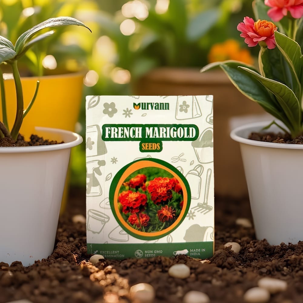French Marigold Seeds - GMO Free | Excellent Germination | Easy to Grow | Vibrant Blooms
