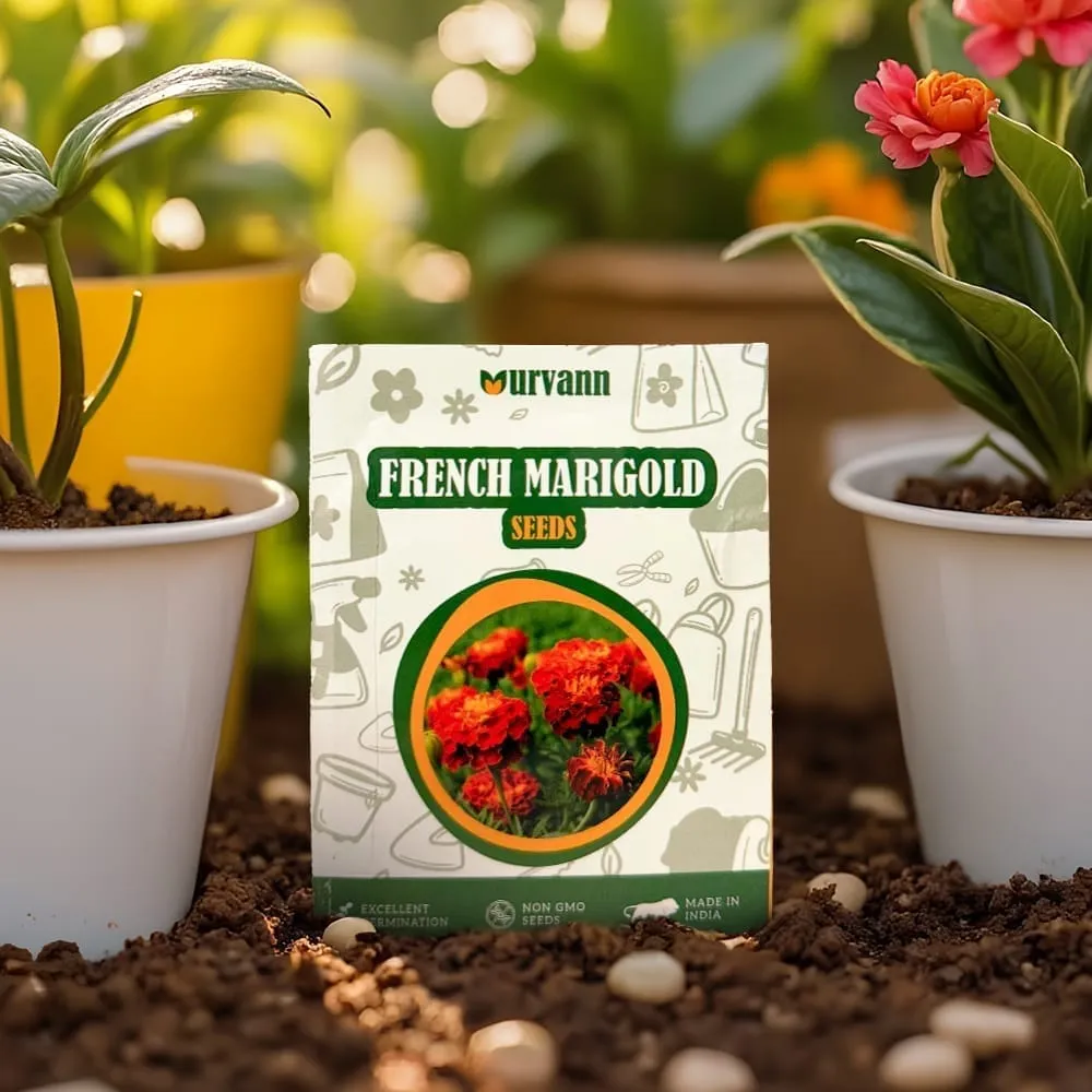 French Marigold Seeds - GMO Free | Excellent Germination | Easy to Grow | Vibrant Blooms