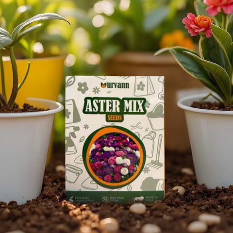 Aster Mixed Seeds - GMO Free | Excellent Germination | Easy to Grow | Vibrant Blooms