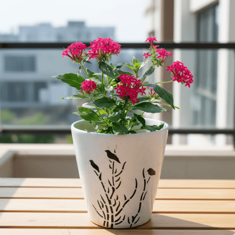 Pentas Pink in 8 Inch Glass Shaped Art Printed Handcrafted Ceramic Pot