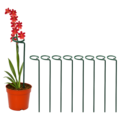 Set of 8 - 18 Inch Green Plant Stem Supporter Strong and Durable Garden Plant Trellis | Anti Rust Powder Coated