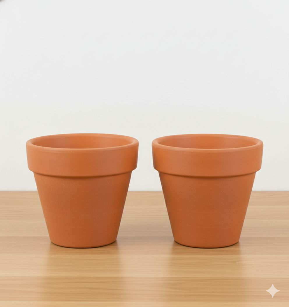 Set of 02 - 6 inch Dhara Maati Pots - Large Earthy Handcrafted Piece