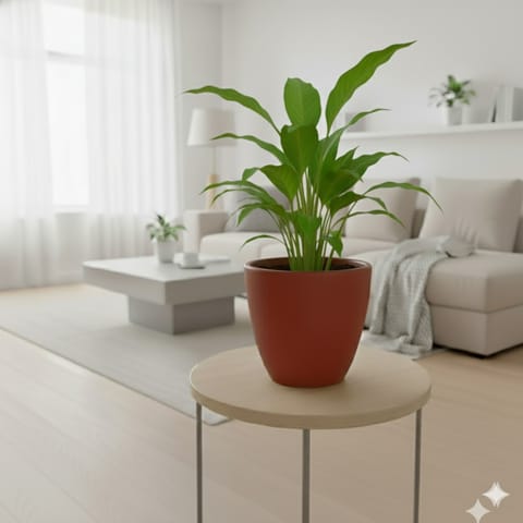 Peace Lily in 4 inch Pankh Cup Maati Pot - Chic Small Pot for Decor Corners