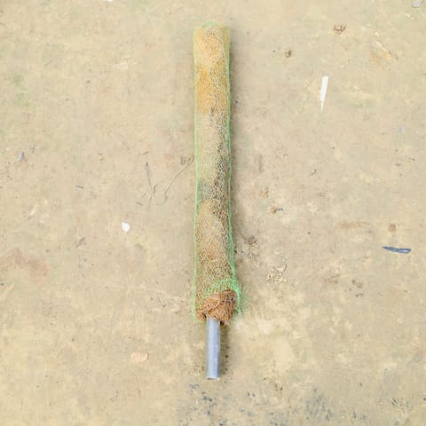 Moss Stick - 2 Ft