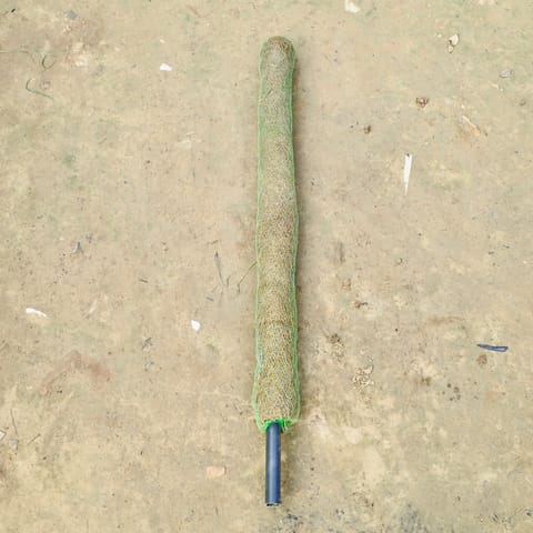 Moss Stick - 3 Ft