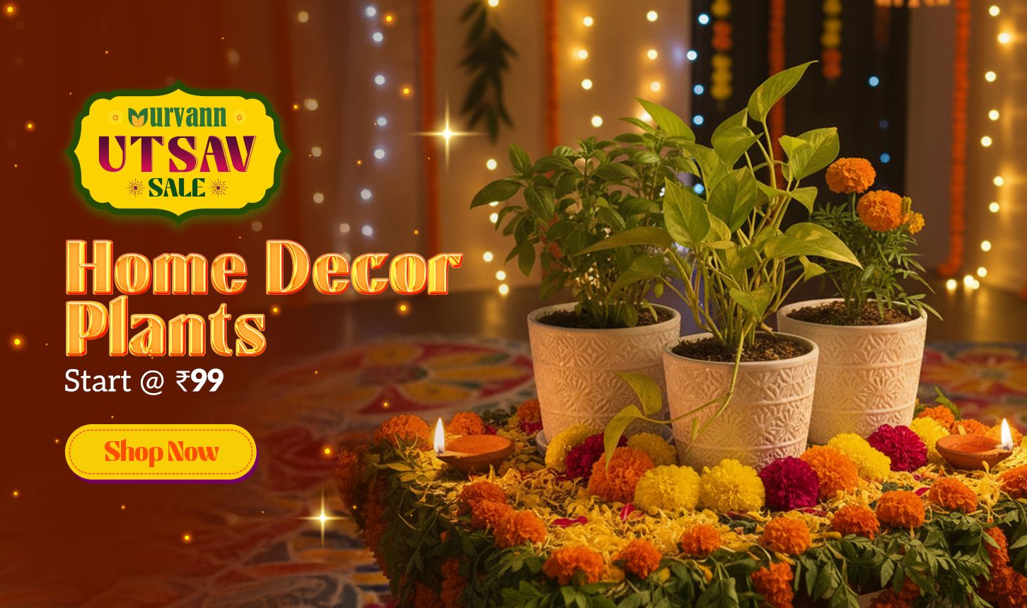 Home Decor Plants