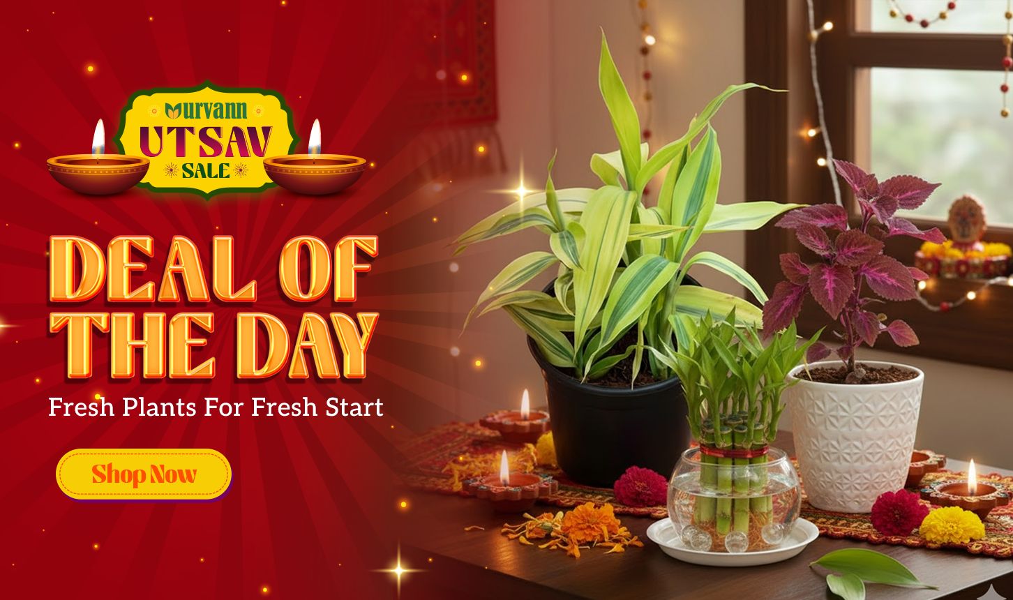 Deal of the Day