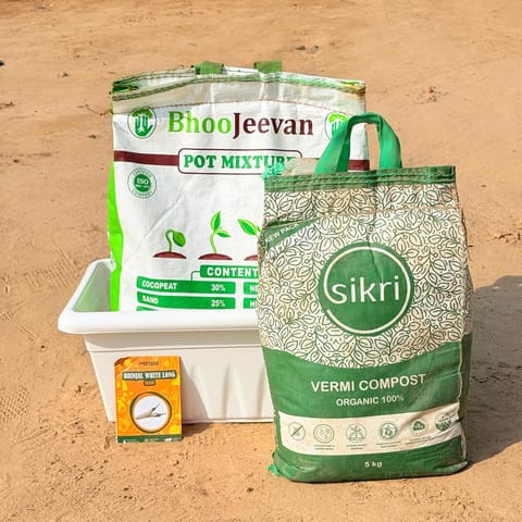 Brinjal White Long Grow Kit - 17 Inch White Window Planter + 10Kg Soil Potting Mix + 5 Kg Vermicompost (Brands may vary)