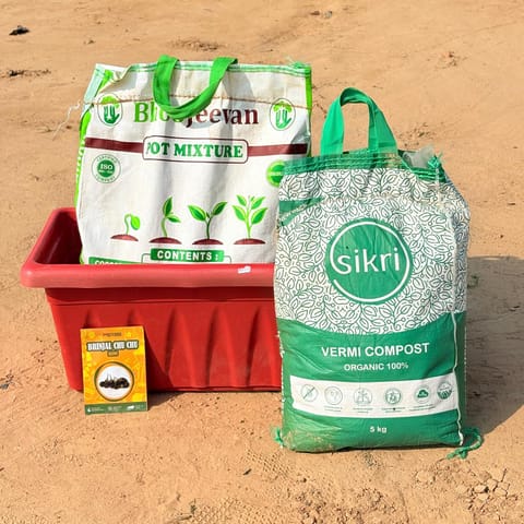 Brinjal Chu Chu Grow Kit - 17 Inch Terracotta Red Window Planter + 10Kg Soil Potting Mix + 5 Kg Vermicompost (Brands may vary)