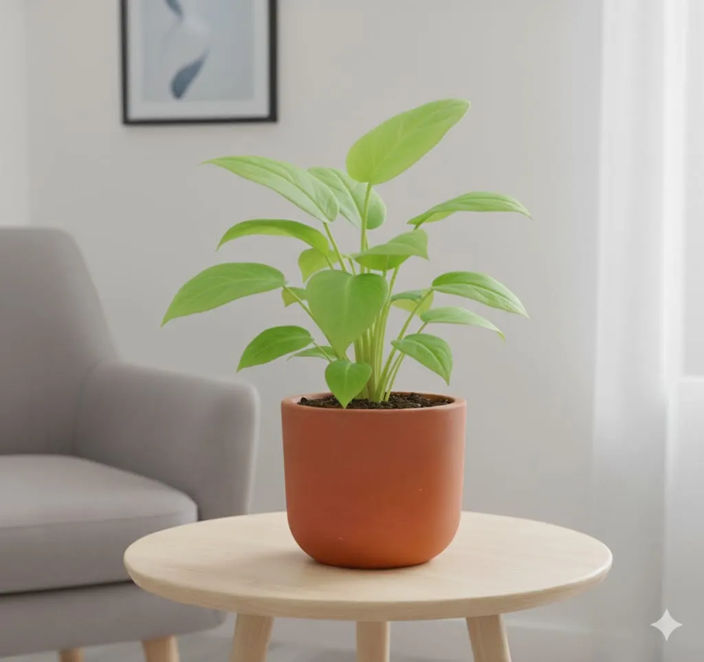 Air Purifying - Money Plant Golden in 4 inch Aaroh Maati Pot - Modern Curved Handcrafted Appeal