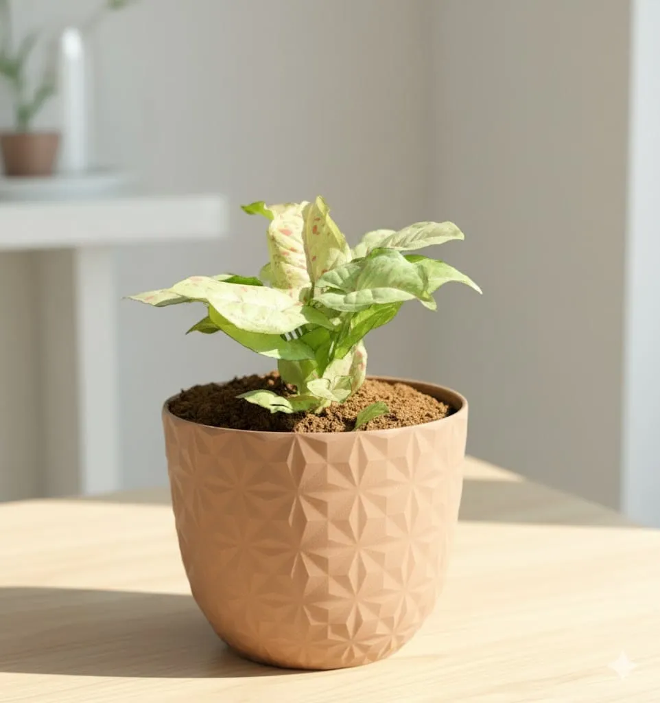 Syngonium Candyfloss in 4 Inch Mocha Leafora Premium Plastic Planter