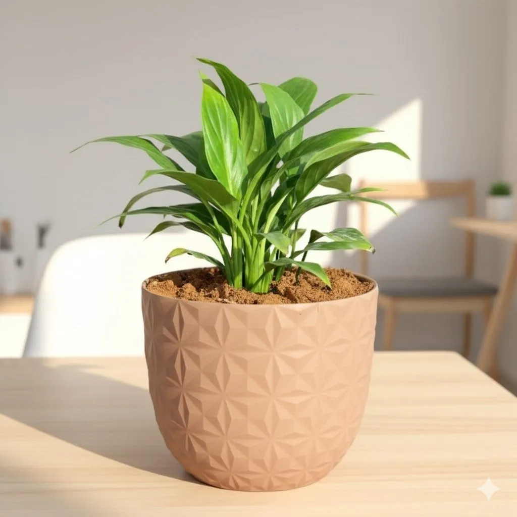 Peace Lily in 4 Inch Mocha Leafora Premium Plastic Planter
