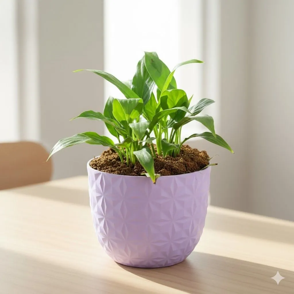 Peace Lily in 4 Inch Purple Leafora Premium Plastic Planter