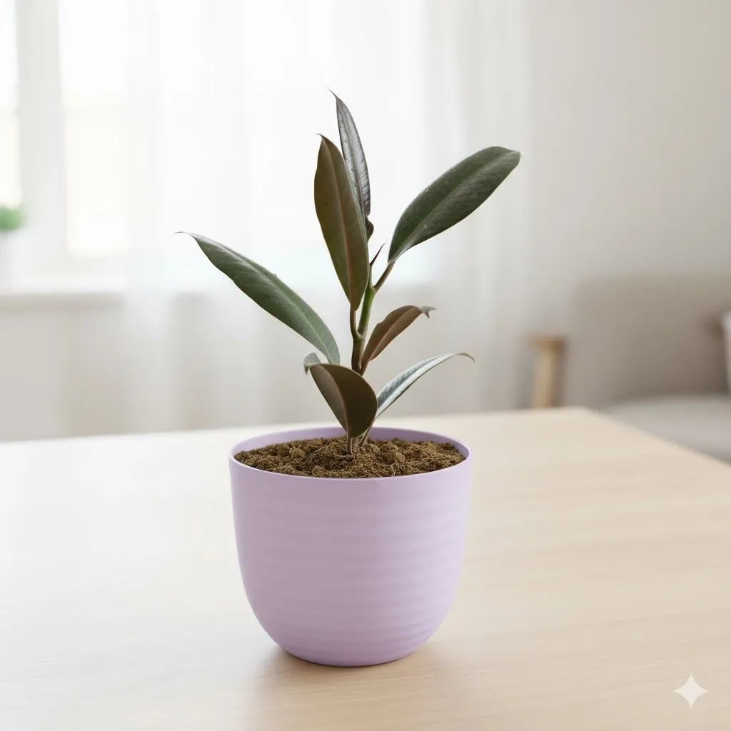 Rubber in 4 Inch Purple Avora Premium Plastic Planter