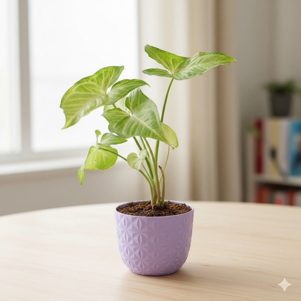 Gift Ready - Syngonium Green Desi in 4 Inch Purple Leafora Premium Plastic Planter - with Gift Bag