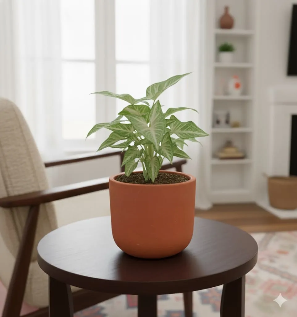 Syngonium Green Arrowhead in 4 inch Aaroh Maati Pot - Modern Curved Handcrafted Appeal