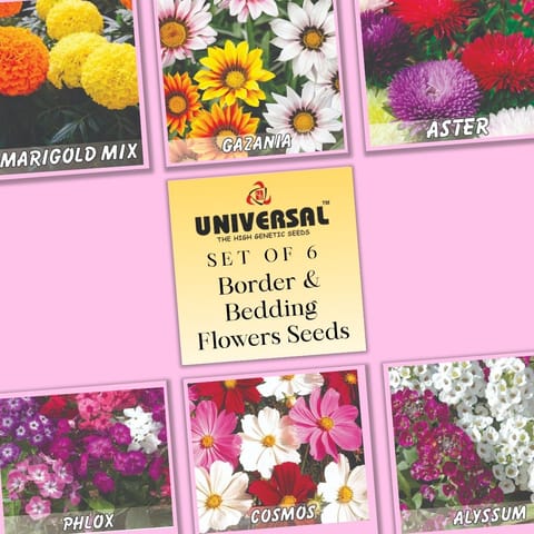 Set of 6 - Border & Bedding Flowers Seeds - Excellent Germination | GMO Free