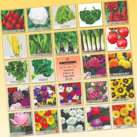 Set of 25 - Assorted Flower & Vegetable Seeds - Excellent Germination | GMO Free