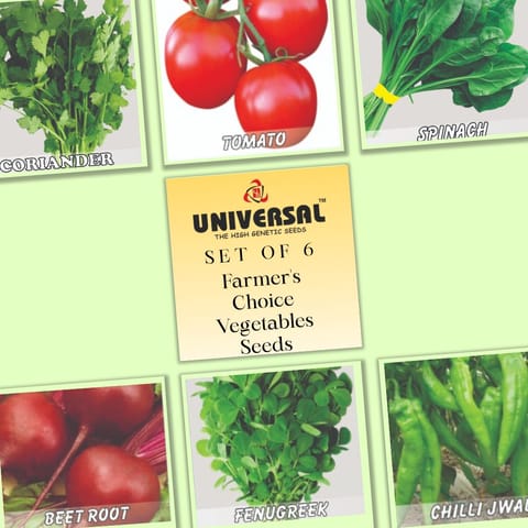 Set of 6 - Farmer's Choice Vegetables Seeds - Excellent Germination | GMO Free