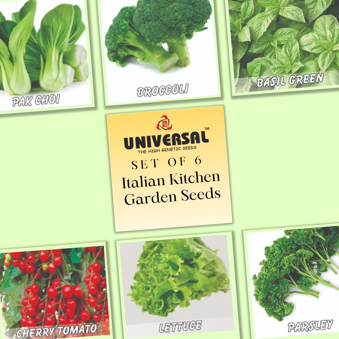 Set of 6 - Italian Kitchen Garden Vegetables Seeds - Excellent Germination | GMO Free