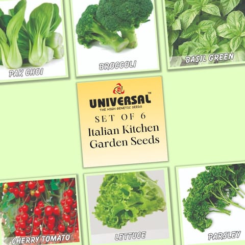 Set of 6 - Italian Kitchen Garden Vegetables Seeds - Excellent Germination | GMO Free