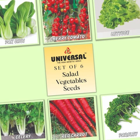 Set of 6 - Salad Vegetables Seeds - Excellent Germination | GMO Free