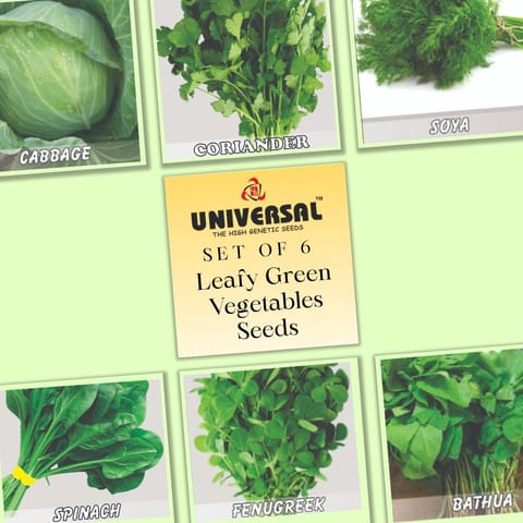 Set of 6 - Leafy Green Vegetables Seeds - Excellent Germination | GMO Free