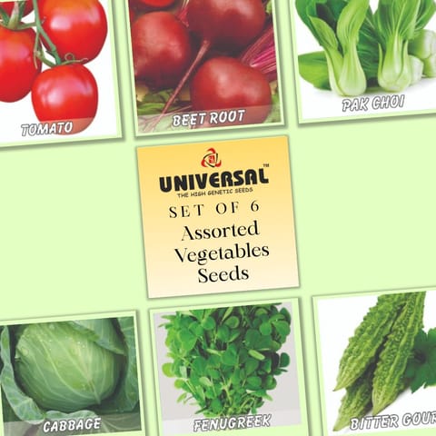 Set of 6 - Assorted Vegetable Seeds - GMO Free | Excellent Germination | Easy to Grow | Disease Resistance | High Yield