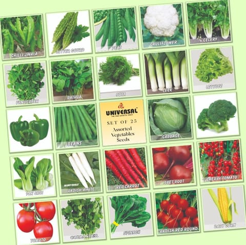 Set of 25 - Assorted Vegetable Seeds - Excellent Germination | GMO Free
