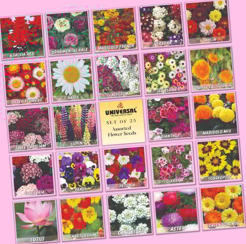 Set of 25 - Assorted Flower Seeds - Excellent Germination | GMO Free | Annual + Perennial Mix