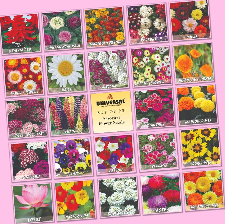 Set of 25 - Assorted Flower Seeds - Excellent Germination | GMO Free | Annual + Perennial Mix