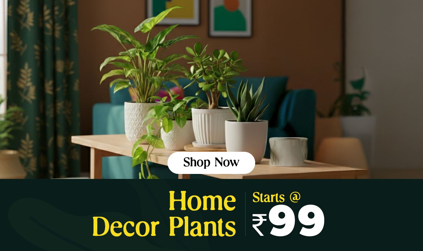 Home Decor Plants