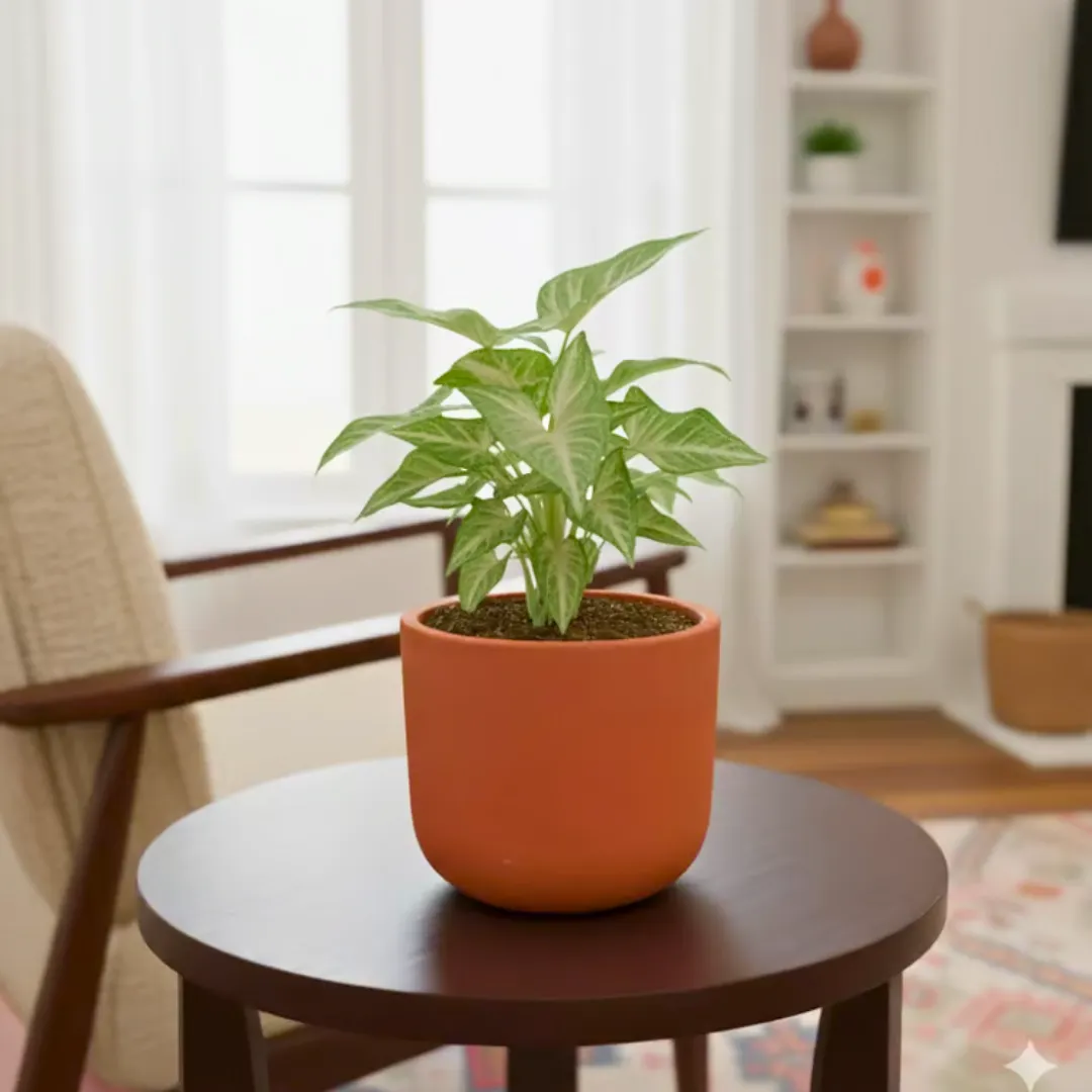 Gift Ready - Syngonium Green Arrowhead in 4 inch Aaroh Maati Pot - Modern Curved Handcrafted Appeal - with Gift Bag