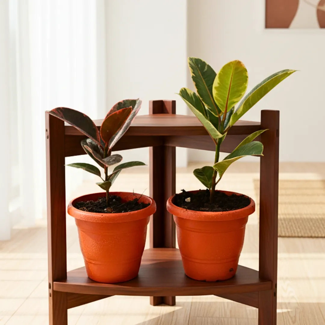 Set of 2 - Rubber (Pink & Green) in 7 Inch Classy Red Plastic Pot with Tray