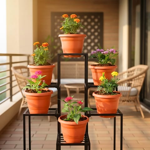 Set of 6 - Pentas Pink, Marigold / Genda French Orange, Marigold Yellow, Marigold Orange, Pentas Lavender & Pentas Red in 7 Inch Classy Red Plastic Pot