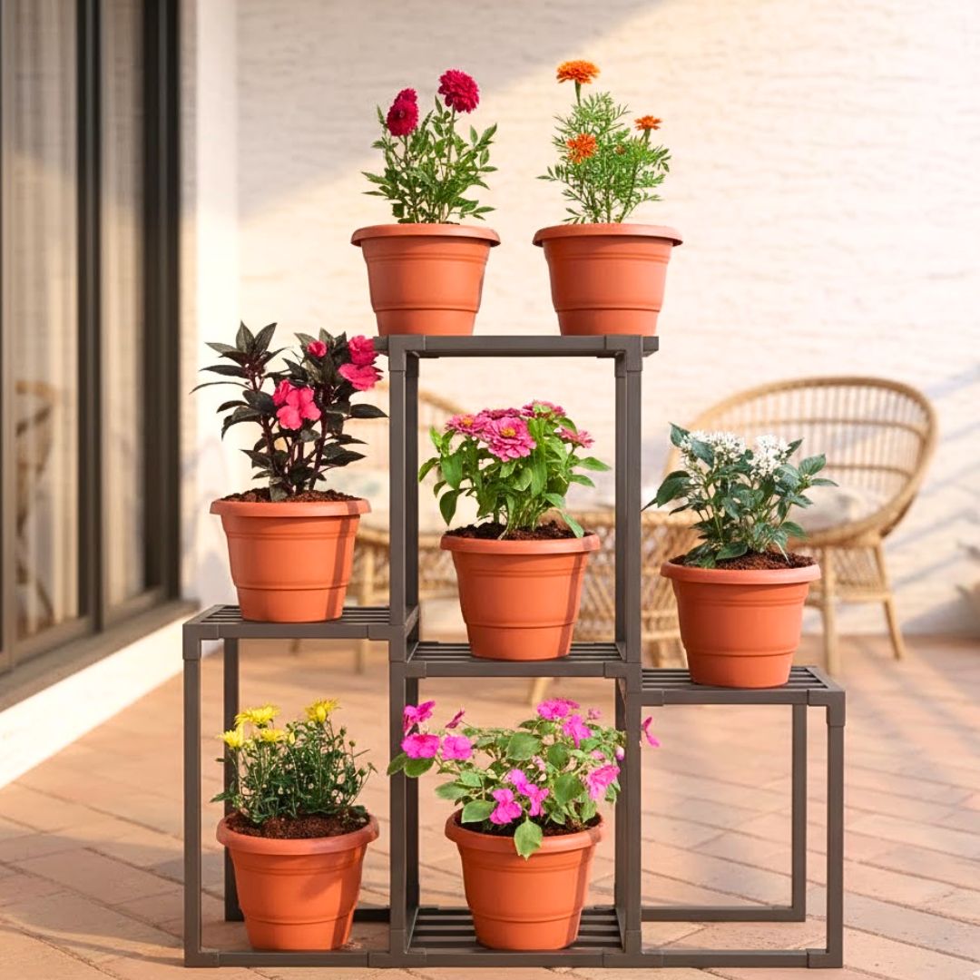 Flowering Decor Special - Set of 7 - Dahlia, French Marigold, Impatients, Balsamina, Chrysanthemum / Guldaudi, Pentas & Zinnia (any colour) in 7 Inch Classy Red Plastic Pot