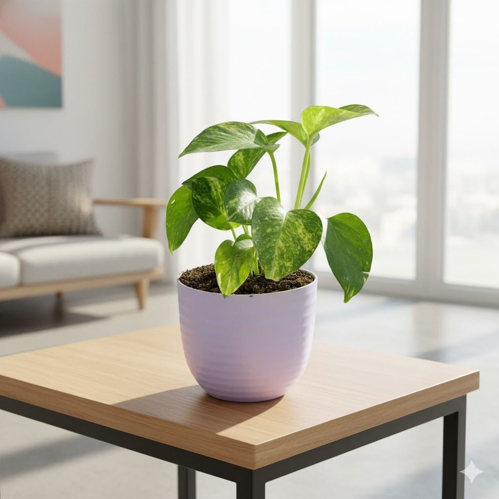 Money Plant Green in 4 Inch Purple Avora Premium Plastic Planter