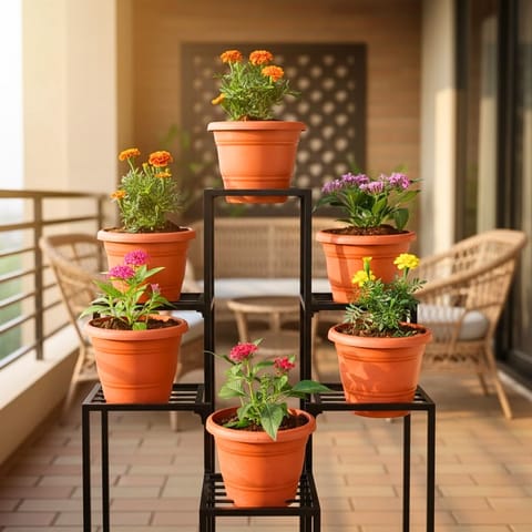 Set of 6 - Pentas Pink, Marigold / Genda French Orange, Marigold Yellow, Marigold Orange, Pentas Lavender & Pentas Red in 7 Inch Classy Red Plastic Pot