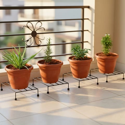 Set of 4 - Chandni, Curry Patta, Rose Mary & Spider in 7 Inch Classy Red Plastic Pot