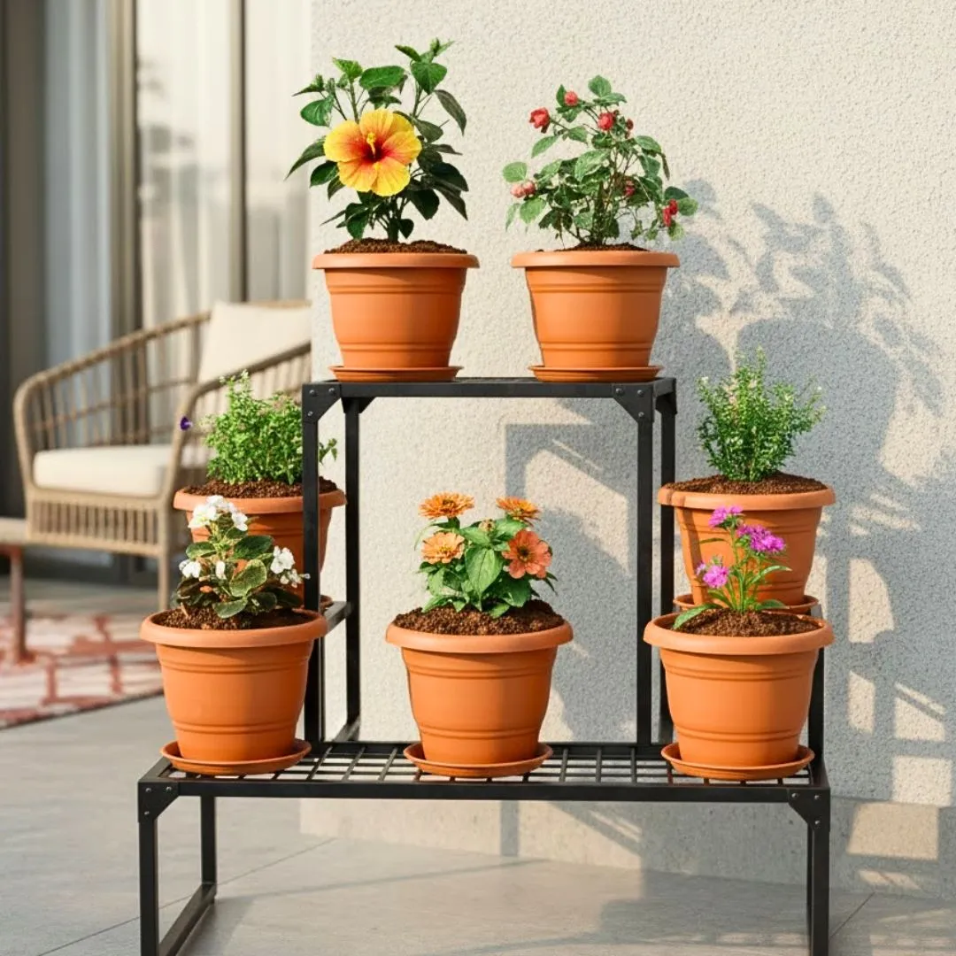 Sring Garden Bliss - Set of 7 - Dianthus , Zinnia, Begonia,Torenia / Wishbone, Cuphea / False Heather, Salvia & Hibiscus / Gudhal (any colour) in 7 Inch Classy Red Plastic Pot with Tray