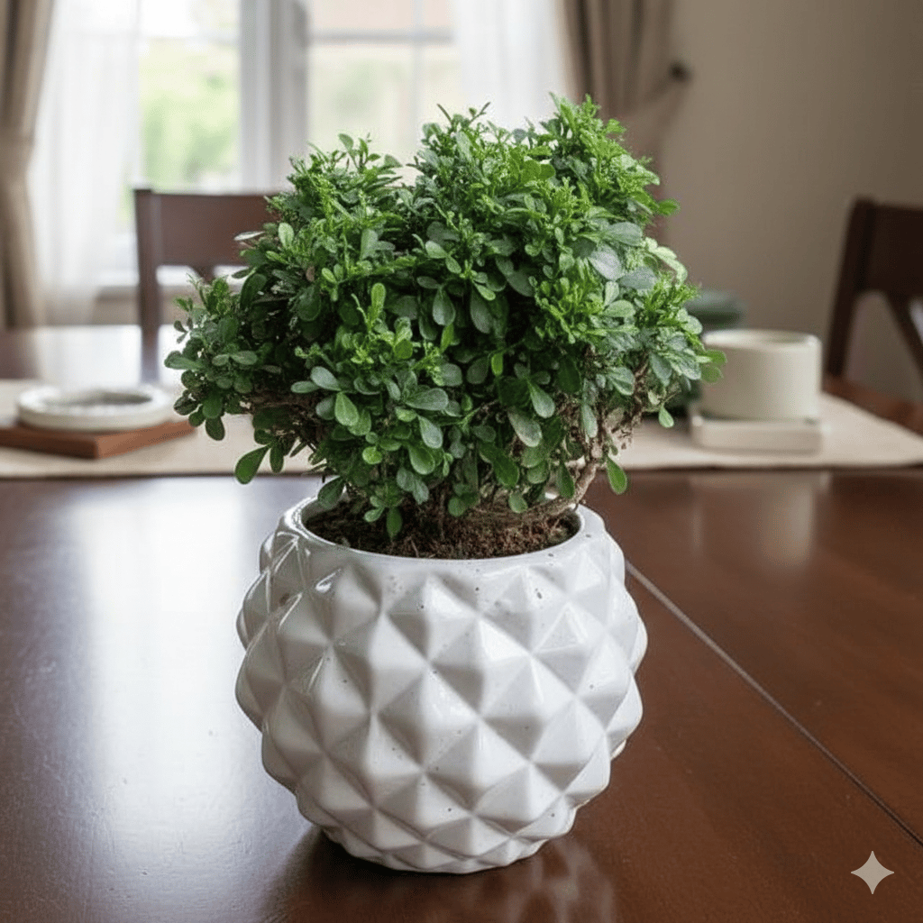 Table Kamini in 5 Inch Diamond Ceramic Pot