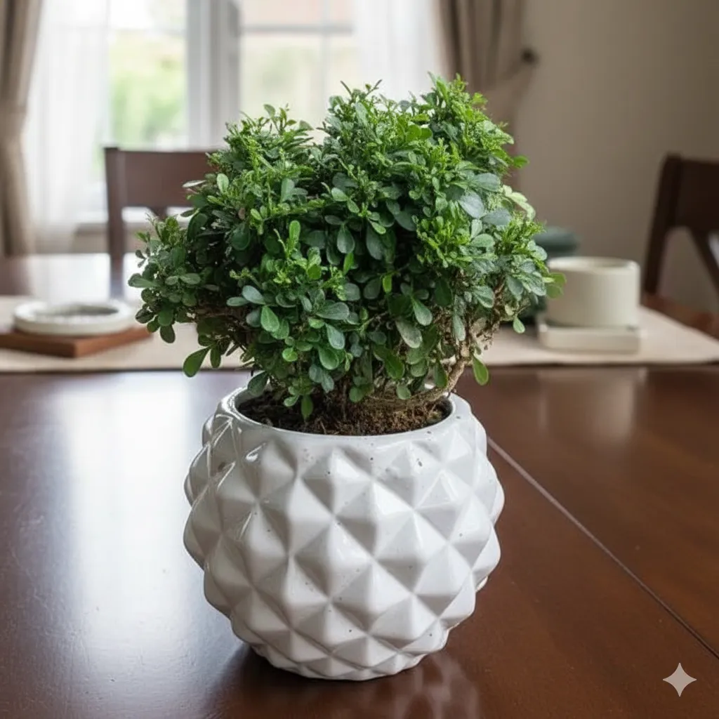 Table Kamini in 5 Inch Diamond Ceramic Pot