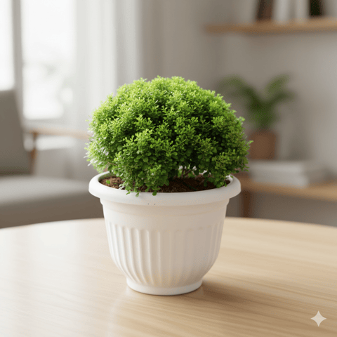 Table Kamini Ball in 8 Inch White Olive Plastic Pot