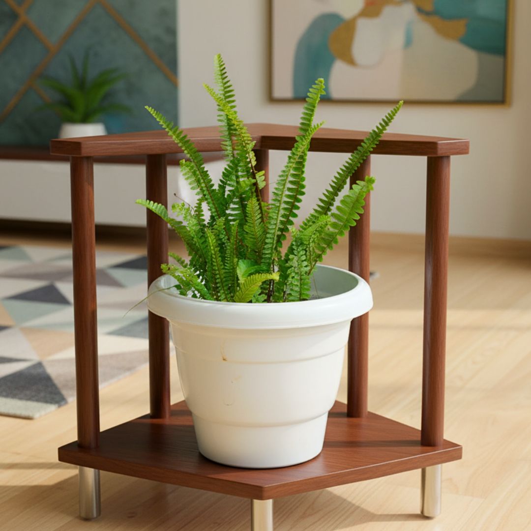 Boston Fern Green in 8 Inch White Classy Plastic Pot